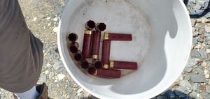 [Michael Bachrach also collected the shotgun shells, 11:48:34, 30.6359963, -83.3112811]