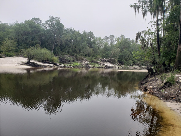 Lakeland Boat Ramp, Alapaha River @ GA 122 2022-06-30