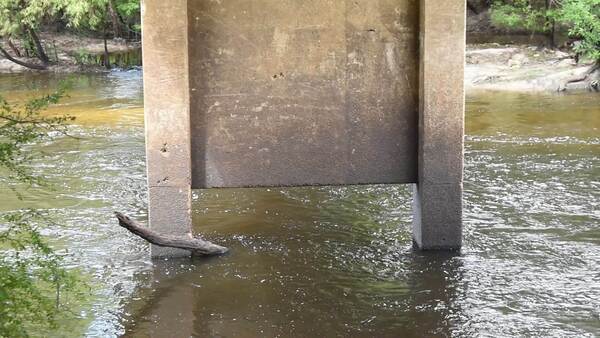 Movie: Nankin Boat Ramp Water Level, Withlacoochee River @ Clyattville-Nankin Road 2022-06-30