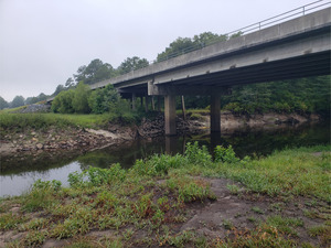 [Hagan Bridge Landing, Withlacoochee River @ GA 122 2022-06-30]