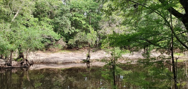 [Old Thomasville Stage Road Bridge, 09:21:22, 30.8509301, -83.3481123]