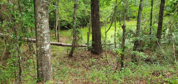 [Pond at Troupville Town Square, 10:09:53, 30.8499342, -83.3463053]