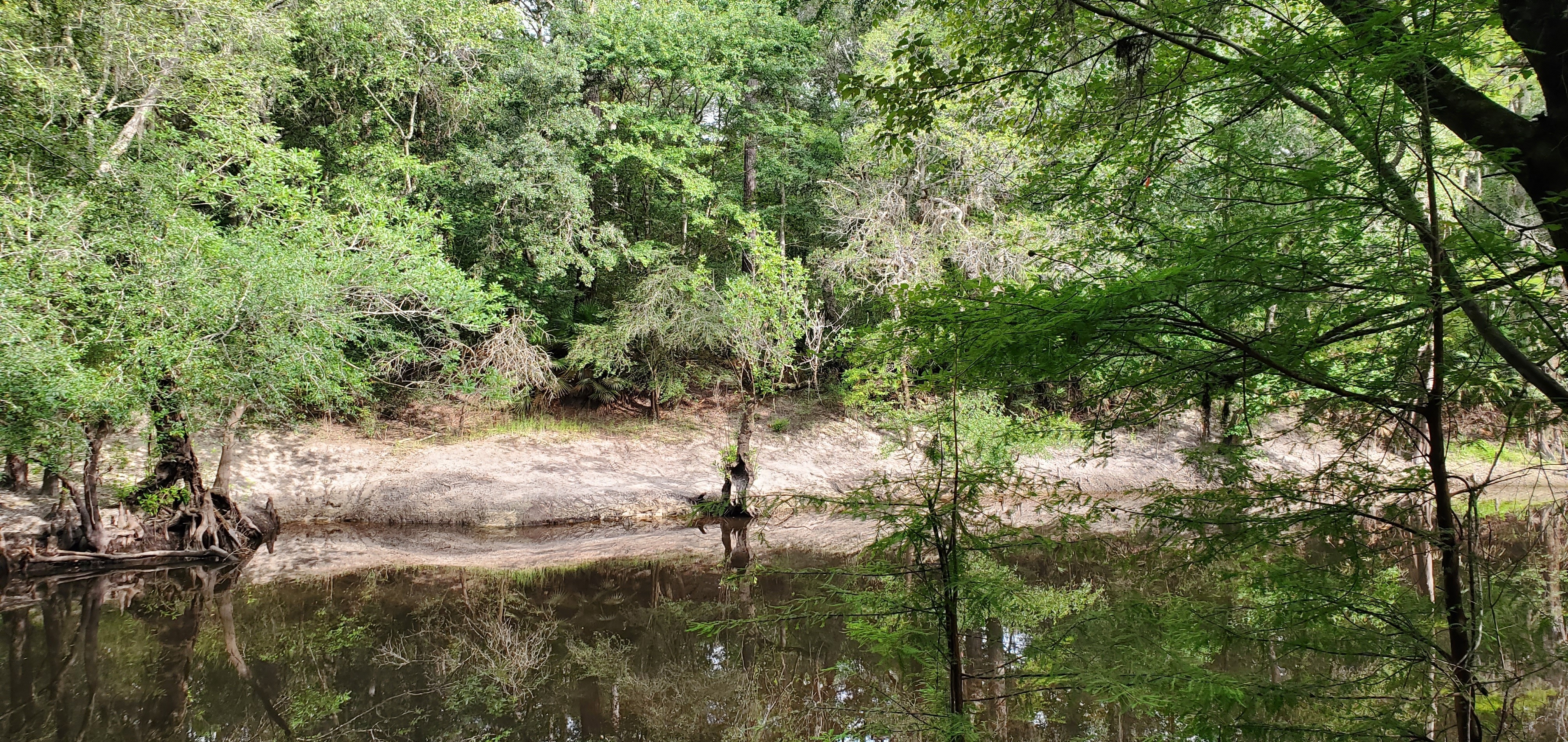 Old Thomasville Stage Road Bridge, 09:21:22, 30.8509301, -83.3481123