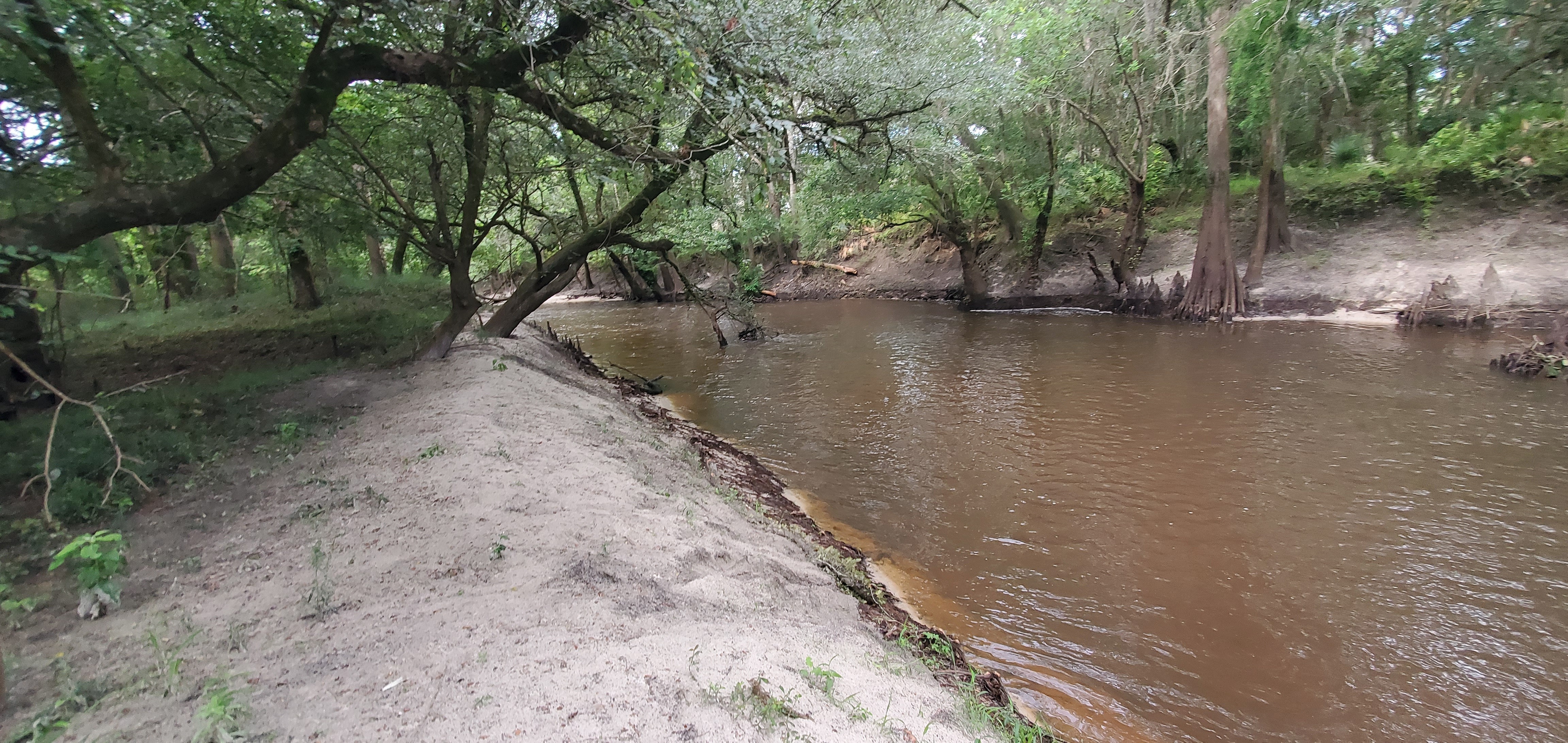 Likely river access, Troupville River Camp, 09:39:10, 30.8465209, -83.3472641