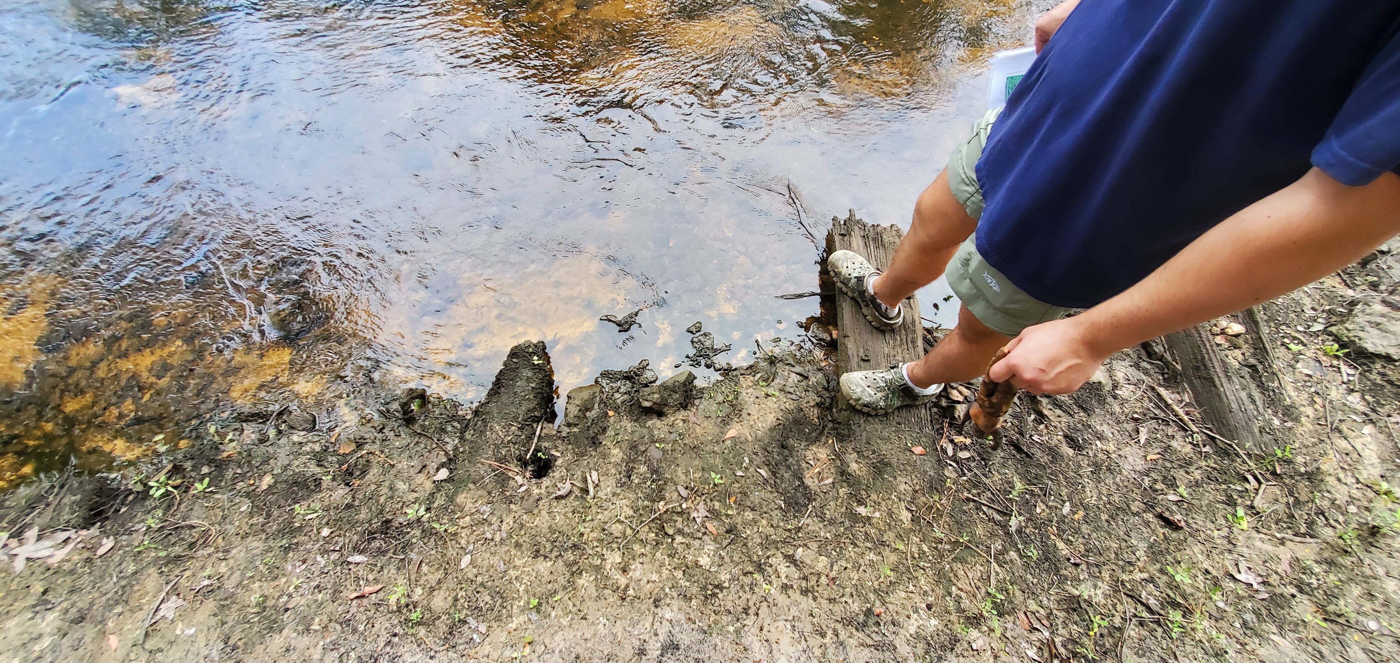 A Troupville Dam timber, 10:29:23, 30.8519438, -83.3471898