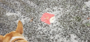 [McDonalds trash, 09:35:44, 30.8472450, -83.3474850]