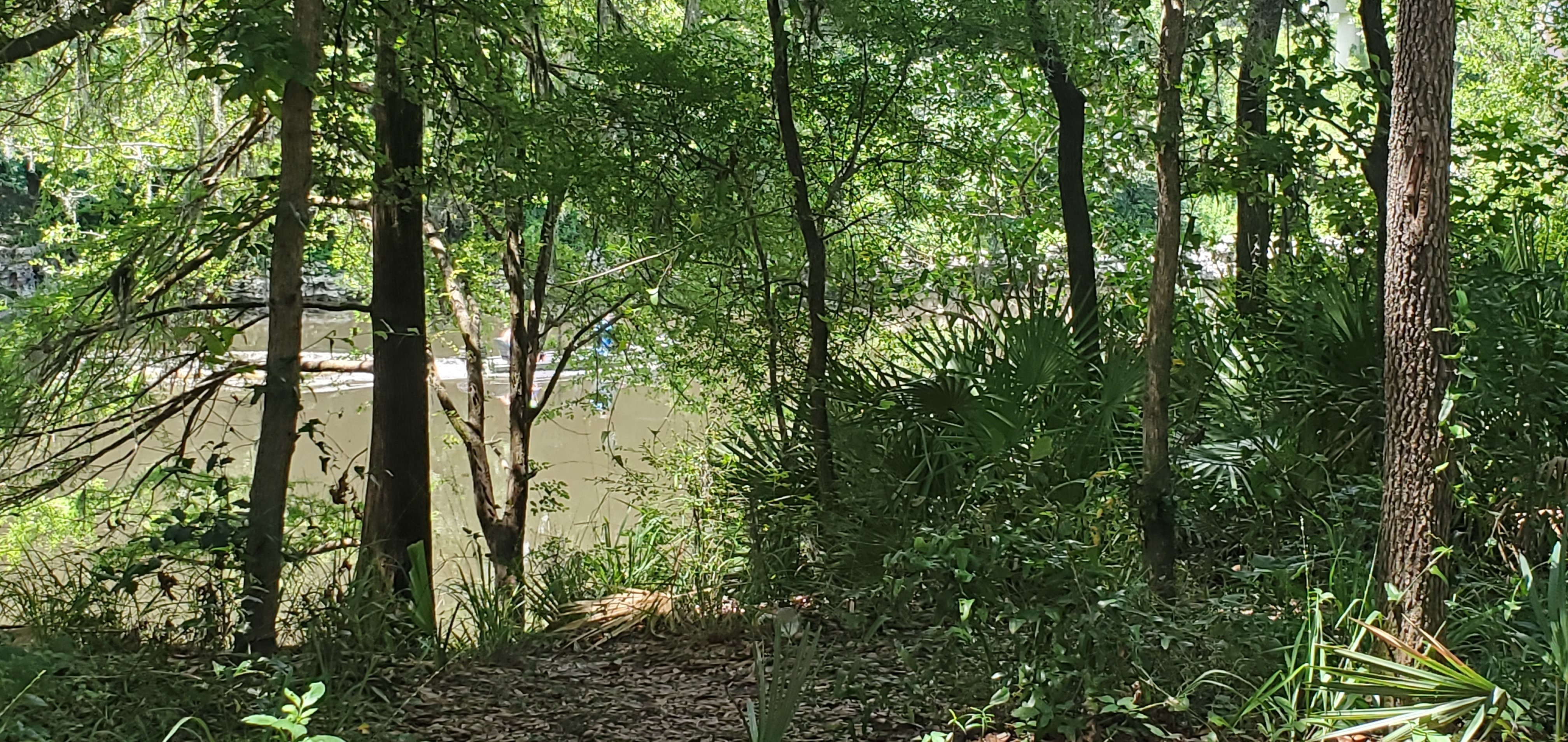 Boat, Withlacoochee River, near State Line Boat Ramp 2022-07-02