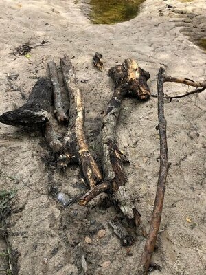 [Those big wood pieces were caught under all the leaves. Not hard to clean out though. And you can see the chain got twisted. You know that was some huge flow coming down the creek to do that.]