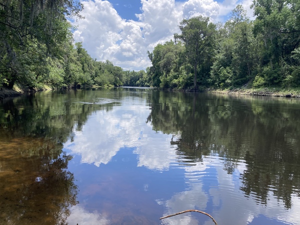 Downstream, Florida Campsites 2022-07-05