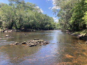 [Upstream rapids, Nankin Boat Ramp, 2022-07-05]