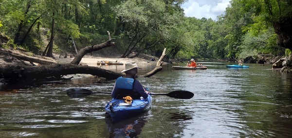 [Swimmers above the Alapahoochee Confluence, 12:49:31, 30.6025103, -83.0741364]