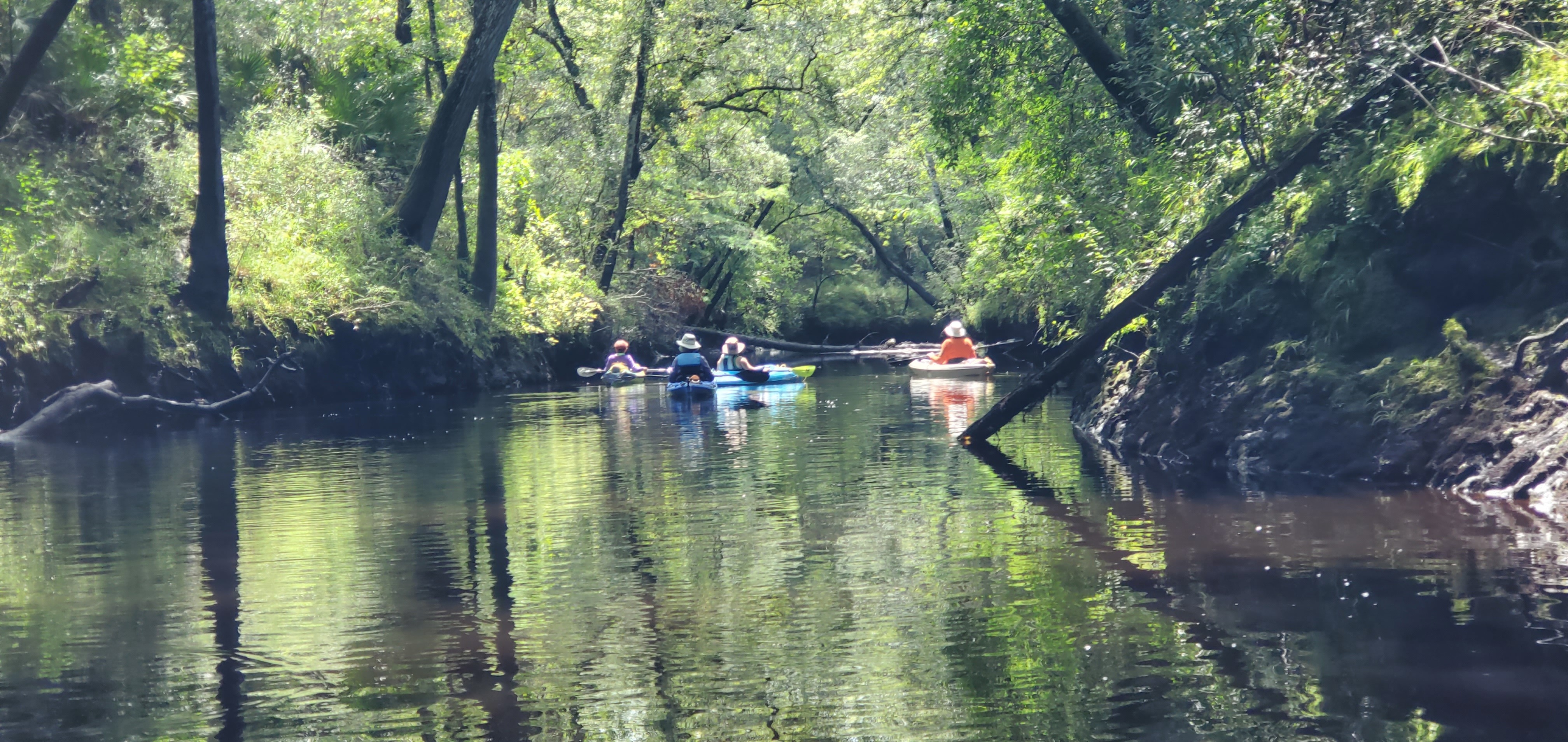 Smooth paddling, 11:41:05, 30.6151234, -83.0787012