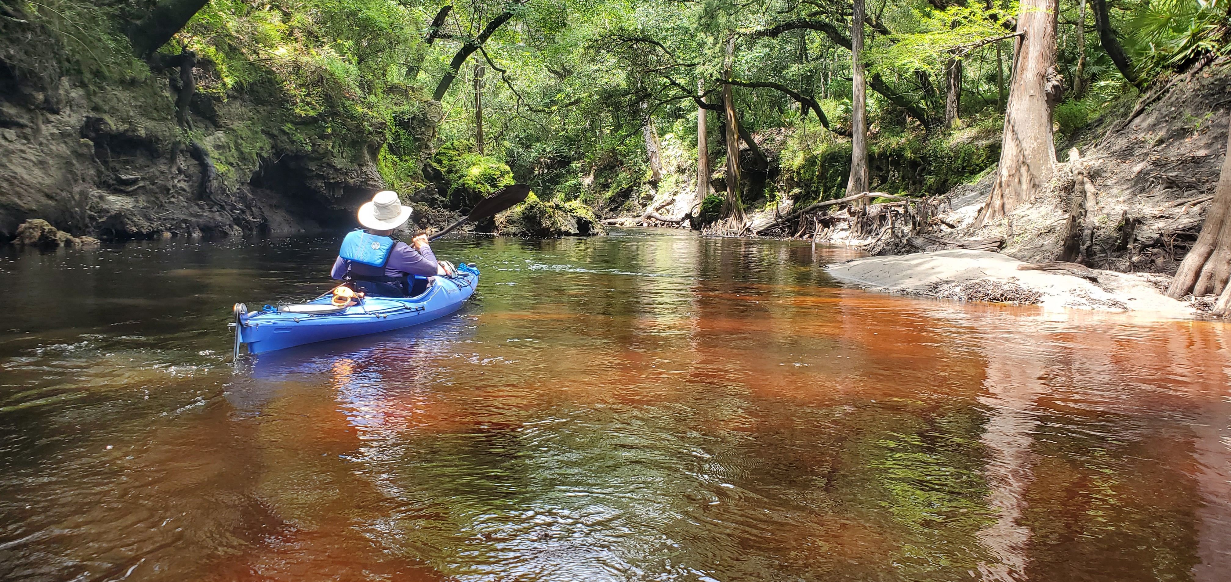 Tea-colored water, 12:23:45, 30.6056636, -83.0741494