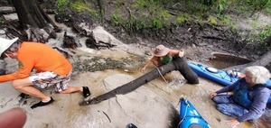 [Shark teeth in the sand, 11:03:22, 30.6177454, -83.0804823]