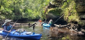 [Wading Power Line Deadfalls, 11:50:29, 30.6133436, -83.0774966]