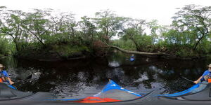 [Paddle under to the left, 10:18:16, 30.6271186, -83.0894462]