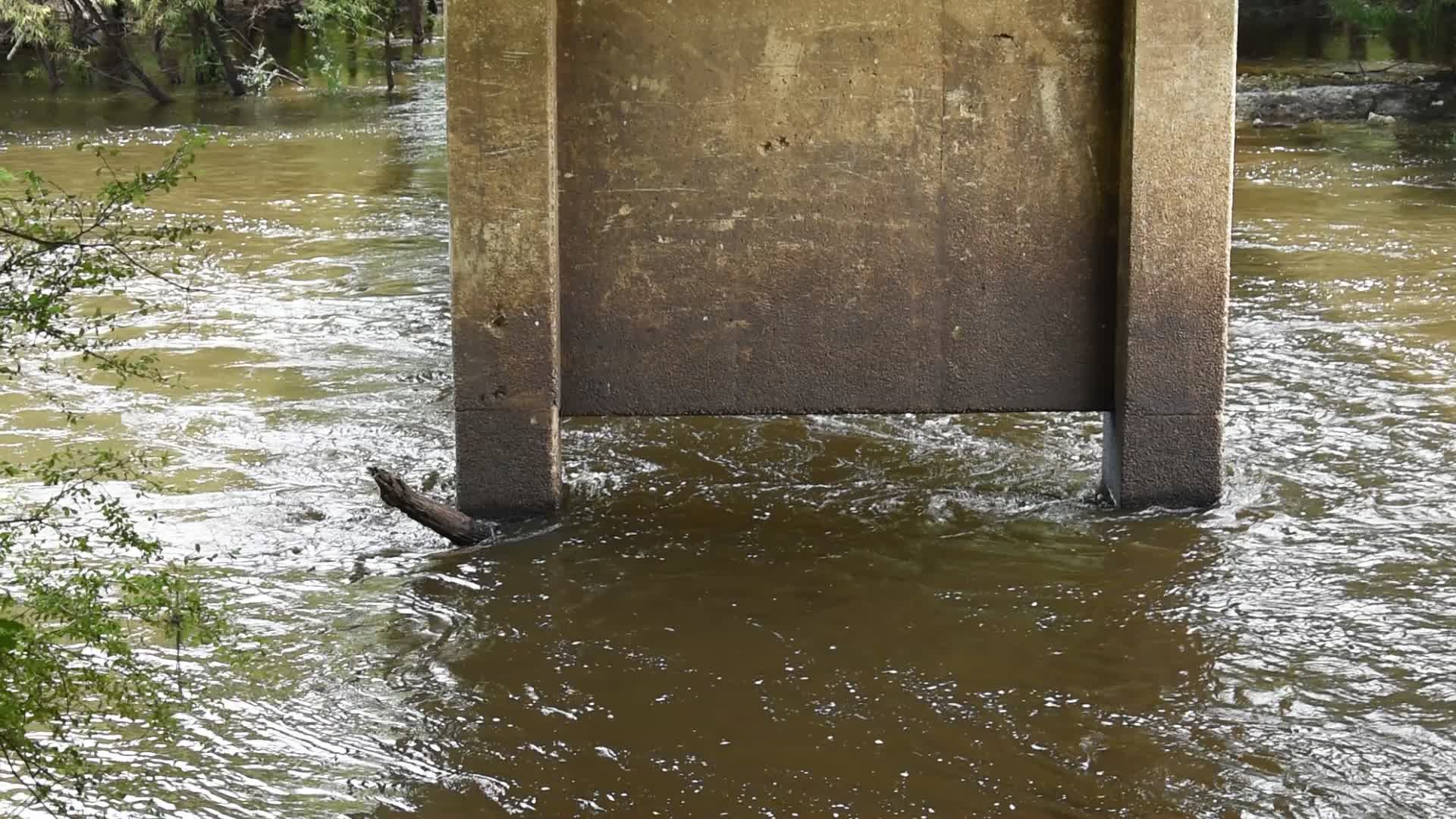 Movie: Nankin Boat Ramp Water Level, Withlacoochee River @ Clyattville-Nankin Road 2022-07-14