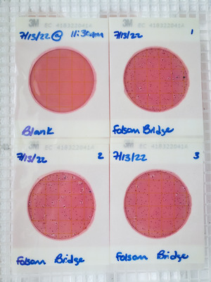 [Plates, Folsom Bridge Landing 2022-07-13]