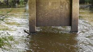 [Movie: Nankin Boat Ramp Water Level, Withlacoochee River @ Clyattville-Nankin Road 2022-07-14]