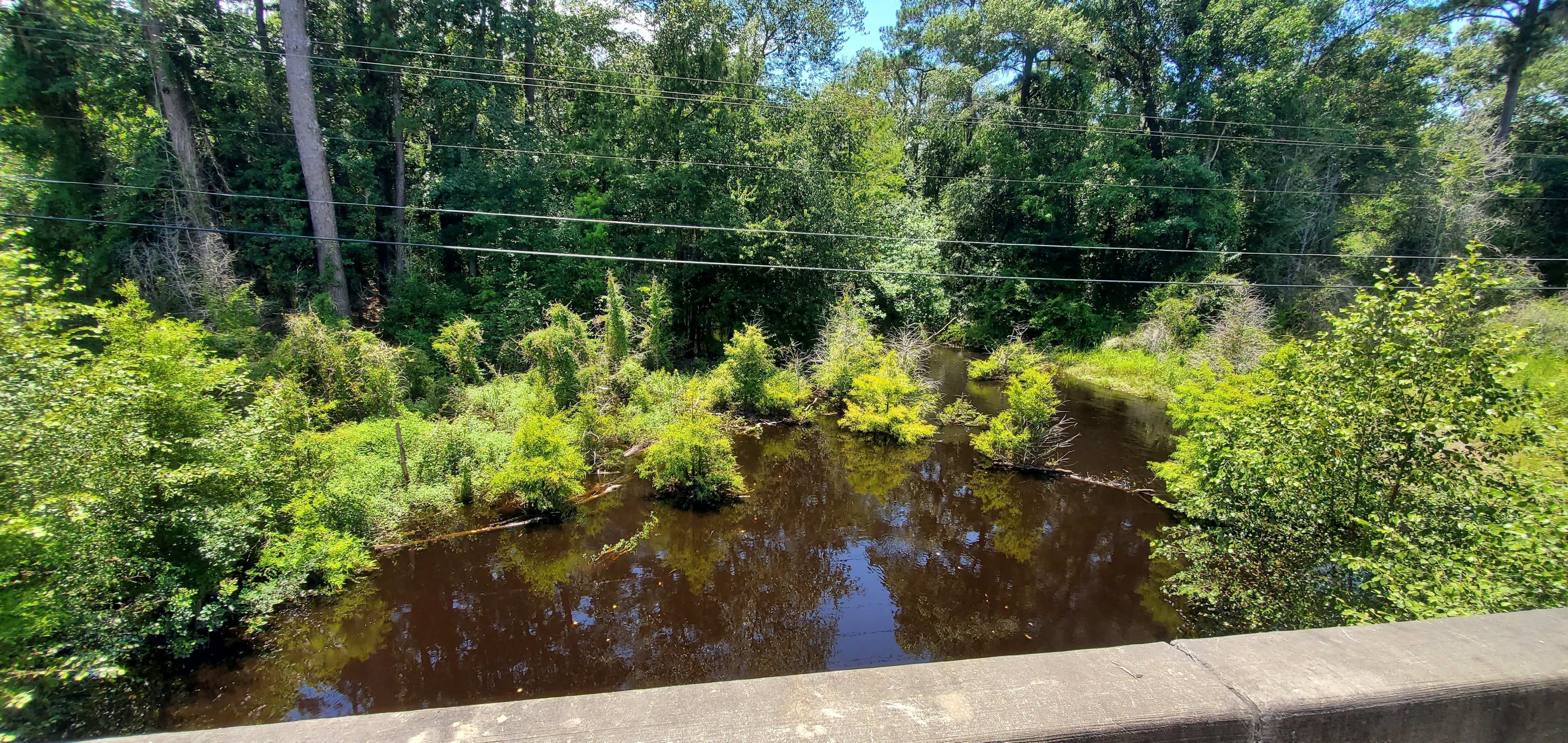 Cat Creek @ Cat Creek Road, Downstream north 2022-07-21