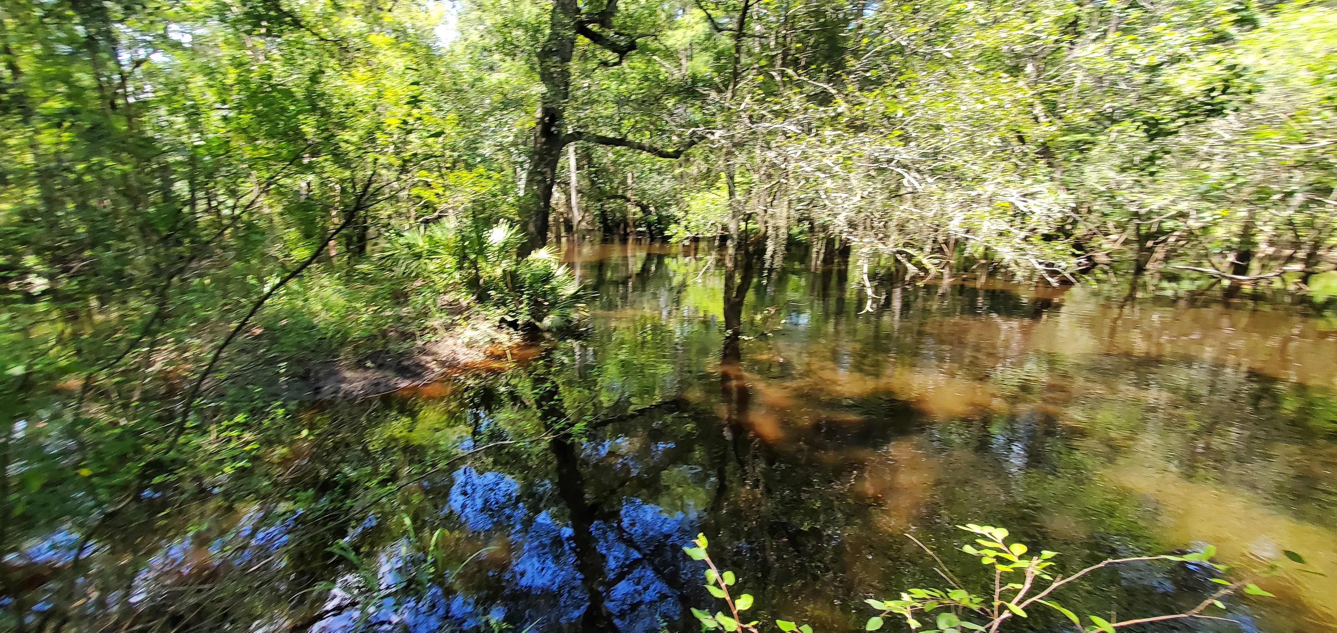 Withlacoochee River @ US 41, Downstream 2022-07-21