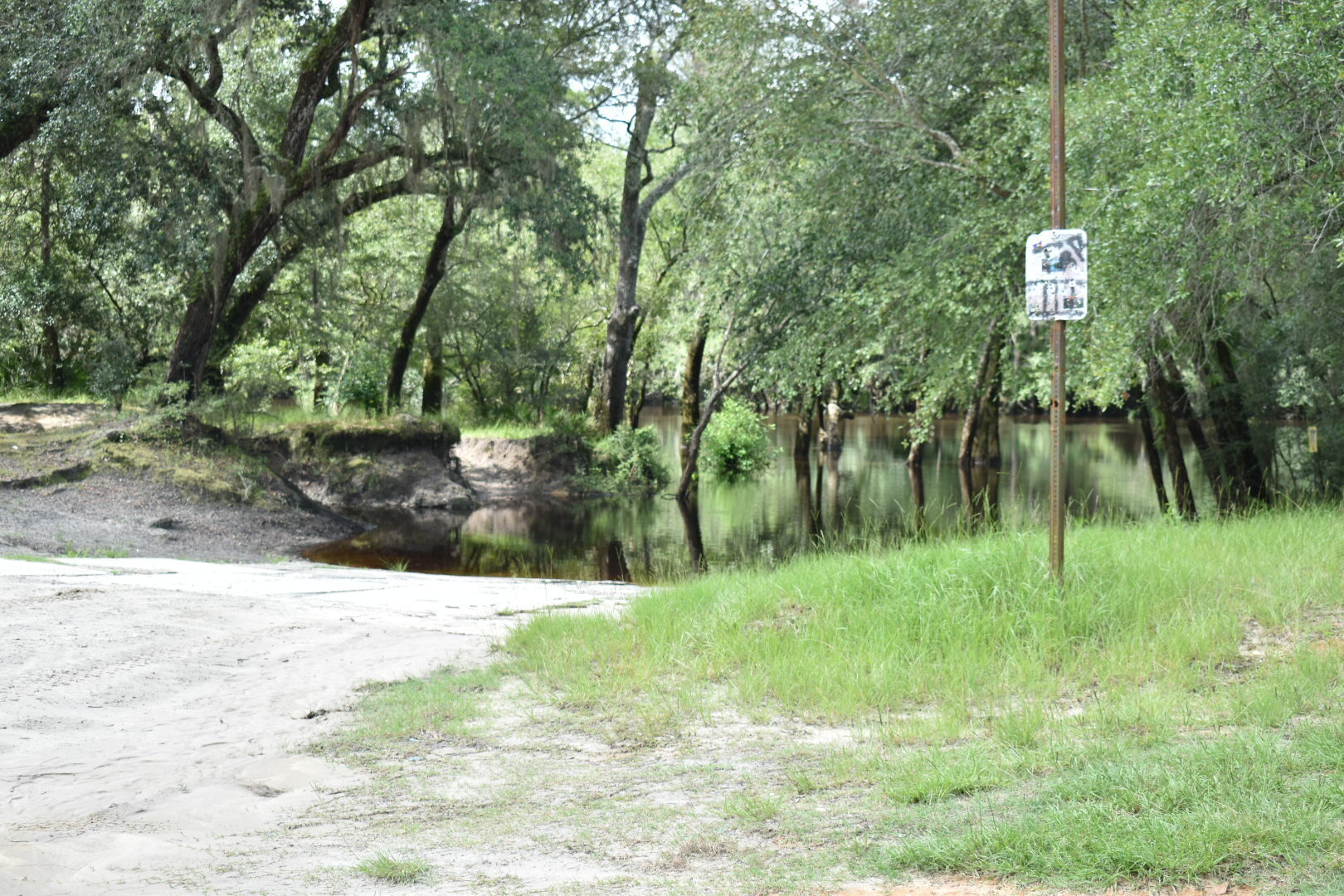 Knights Ferry Boat Ramp, Withlacoochee River 2022-07-21