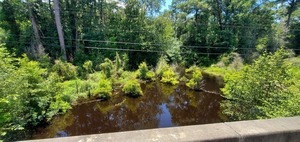 [Cat Creek @ Cat Creek Road, Downstream north 2022-07-21]