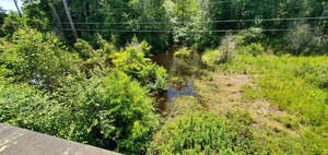 [Cat Creek @ Cat Creek Road, Downstream south 2022-07-21]