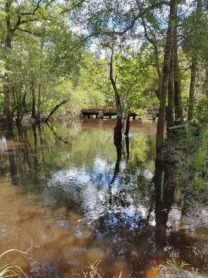 [Bridge, Franklinville Landing, 0721221250a 2022-07-21]