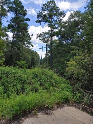 [Franklinville Landing, across Tyler Bridge 2022-07-21]