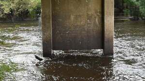 [Movie: Nankin Boat Ramp Water Level, Withlacoochee River @ Clyattville-Nankin Road 2022-07-28]