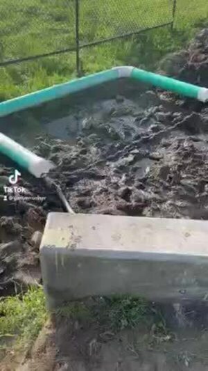 [Movie: TikTok of Valdosta homemade trashtrap on Lee St. Detention Pond --Bobby McKenzie]