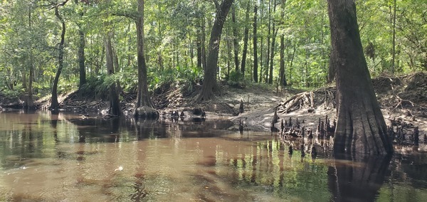 [Valdosta Mulch Runoff, 14:42:49, 30.8543911, -83.3381558]