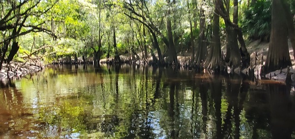 Looking downstream, 15:15:14, 30.8497406, -83.3401822