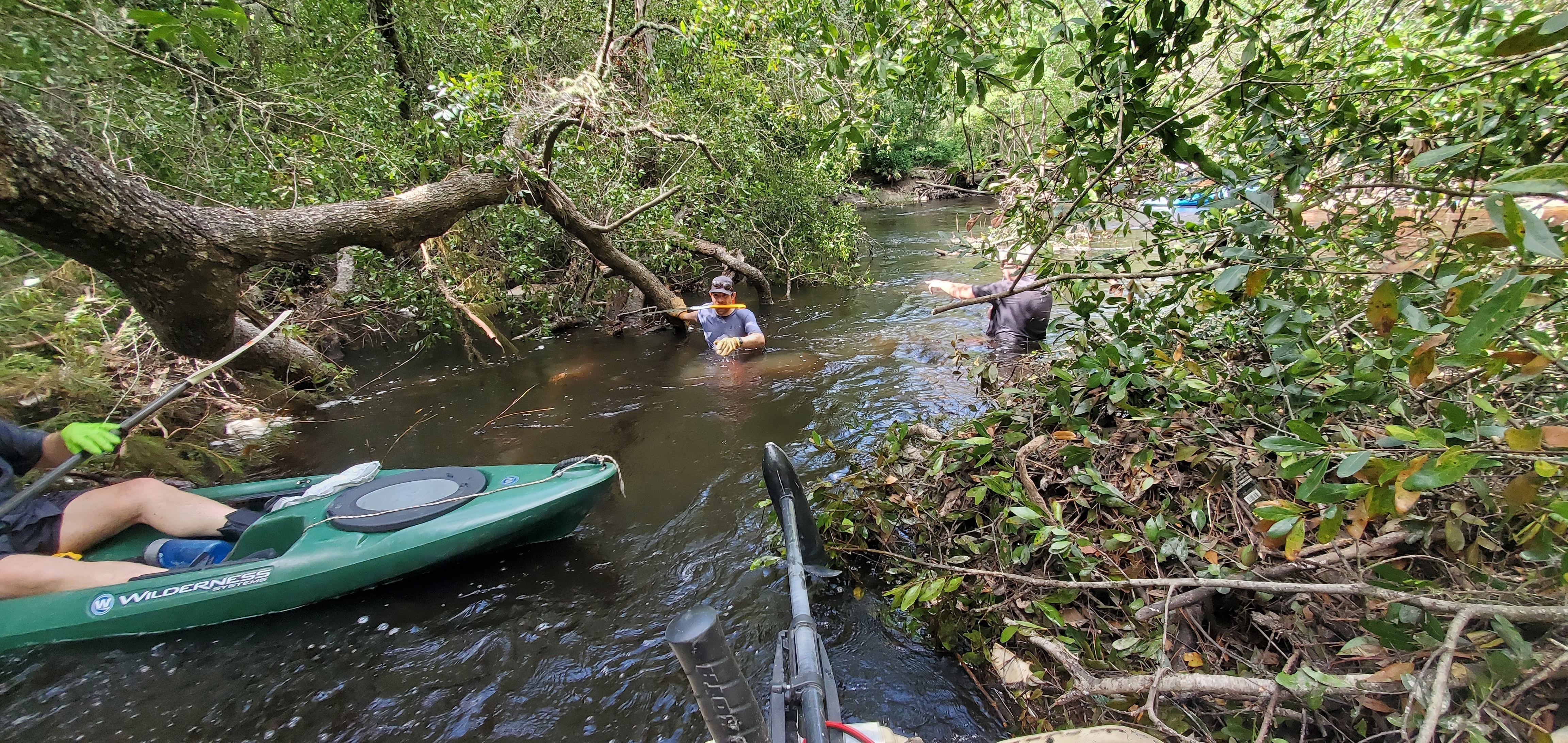 Grant with his handsaw in his teeth, 11:05:48, 30.8614087, -83.3234156