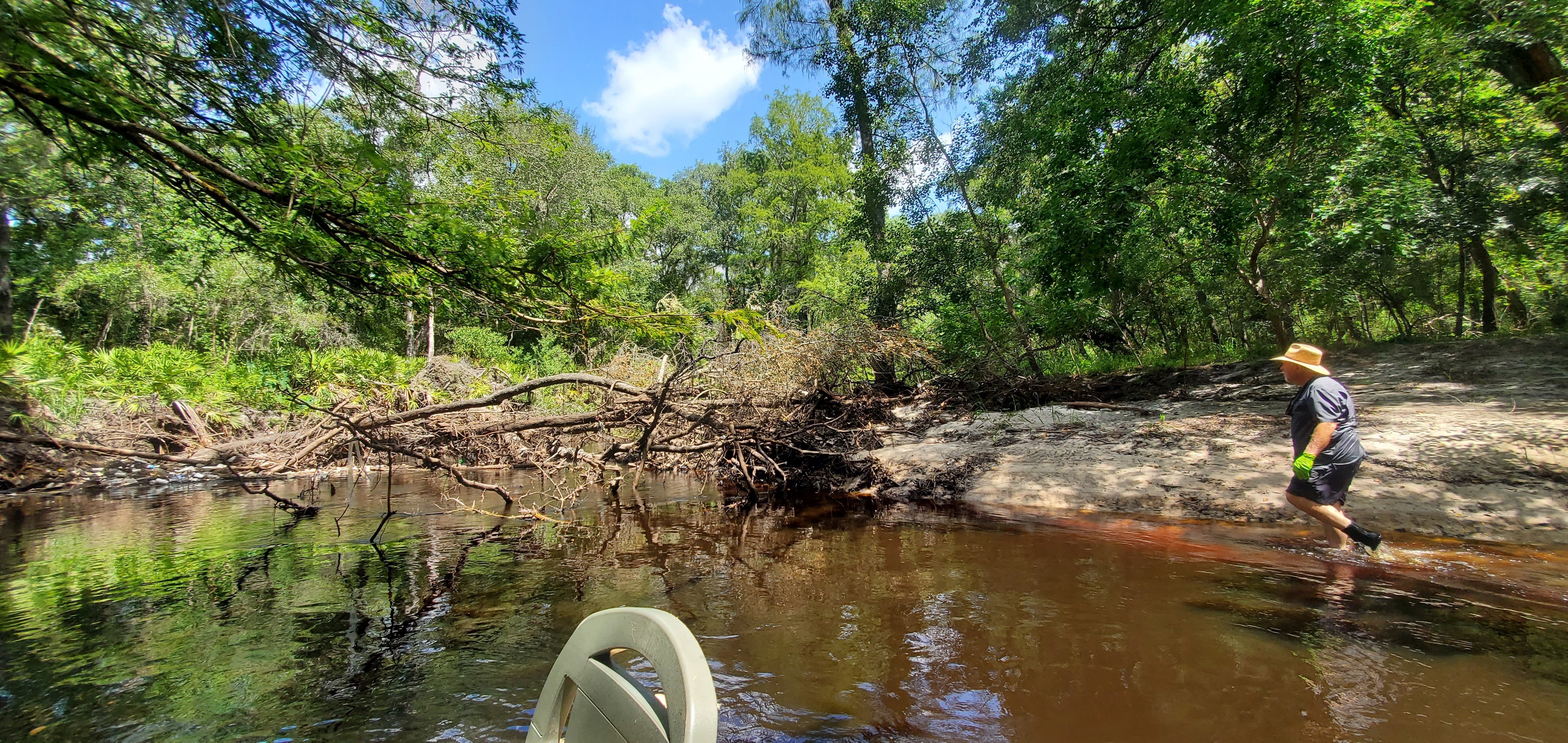 Wood Valley Deadfall, 12:10:43, 30.8586621, -83.3255256