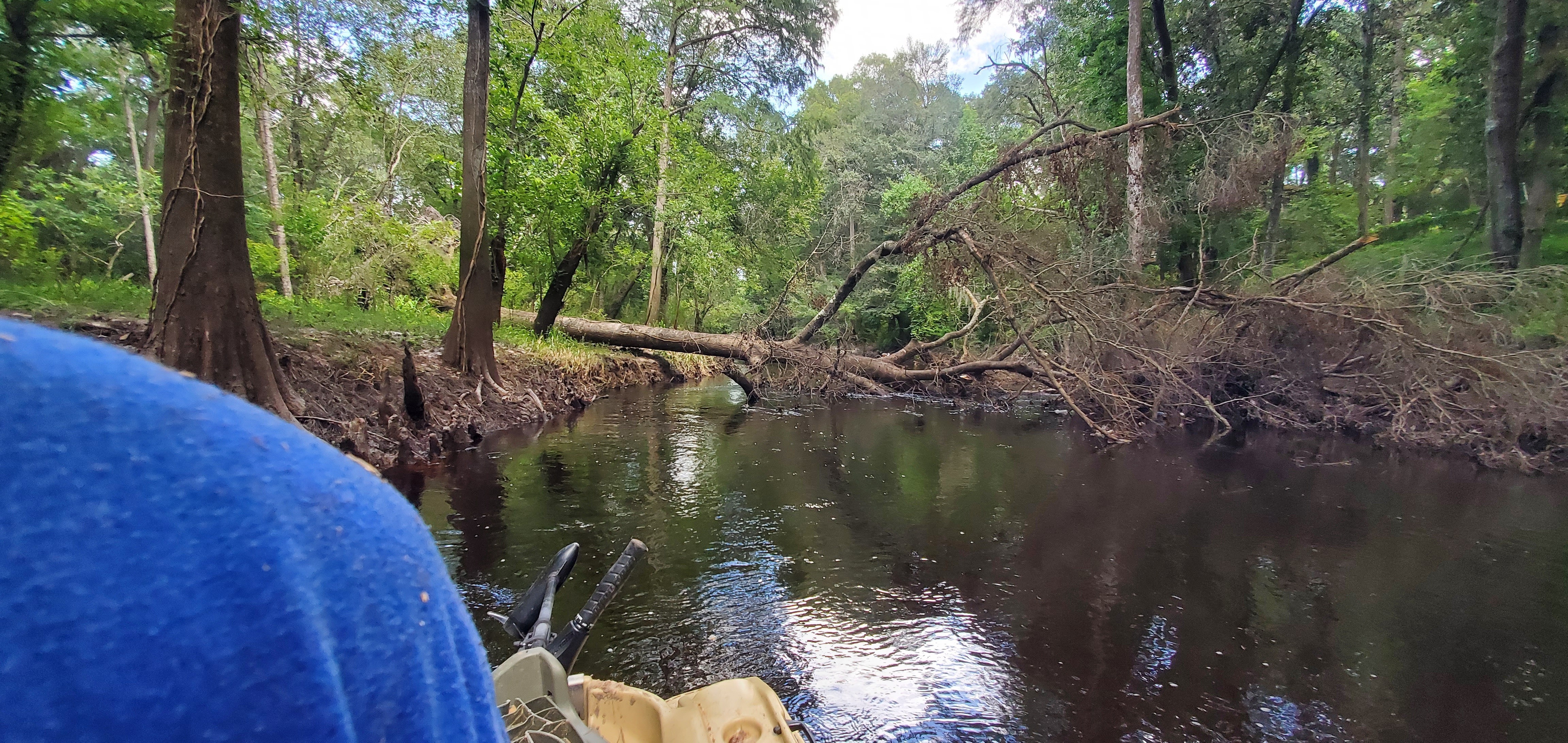 Downstream from Riverhill Drive Deadfall 2, 13:51:19, 30.8560896, -83.3287204