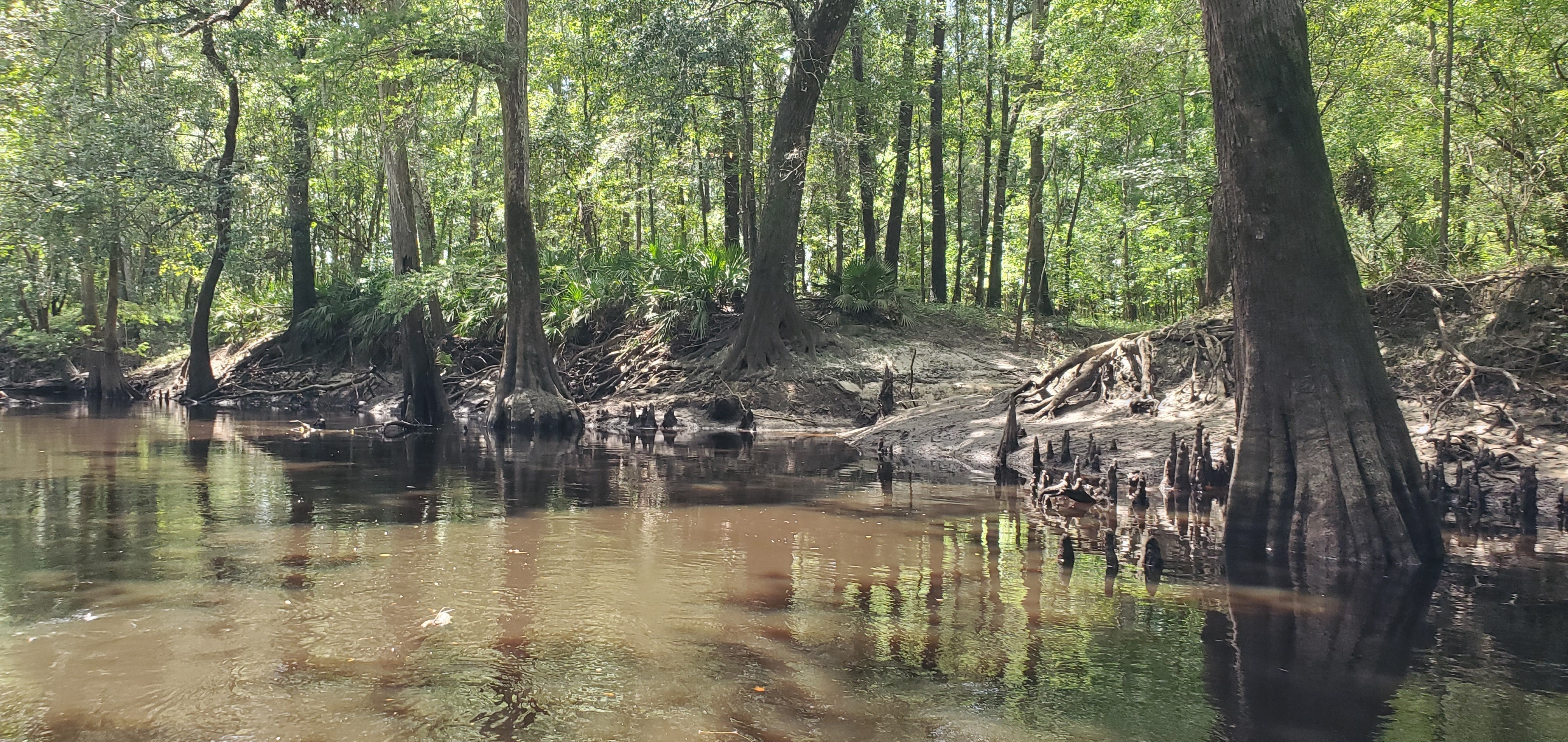 Valdosta Mulch Runoff, 14:42:49, 30.8543911, -83.3381558