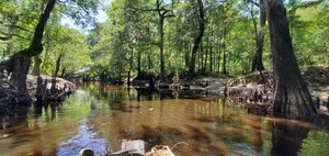 [River and Valdosta Mulch Runoff, 14:42:52, 30.8543911, -83.3381558]