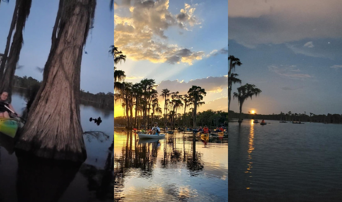 [Bat tree, sunset, moonrise, 2022-08-03, Photos: Bobby McKenzie]