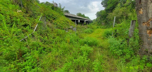 Gap in chainlink fence down north side of Skipper Bridge, 2022:08:11 09:25:52, 30.9490669, -83.2714828