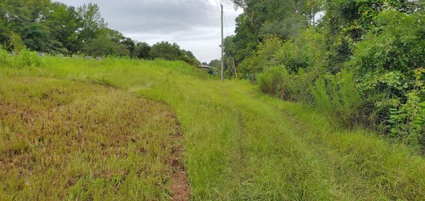 Road down north side of Skipper Bridge, 2022:08:11 09:26:57, 30.9489711, -83.2703218