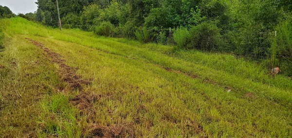 Road, beside north side of Skipper Bridge, 2022:08:11 09:27:10, 30.9489711, -83.2703218