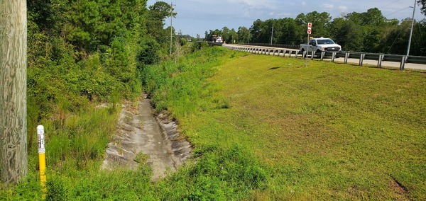 Drainage ditch, SW of GA 133, 2022:08:11 10:31:48, 30.8491527, -83.3386782