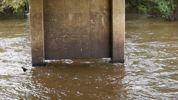 Movie: Level and Flow, Nankin Boat Ramp 2022-08-11