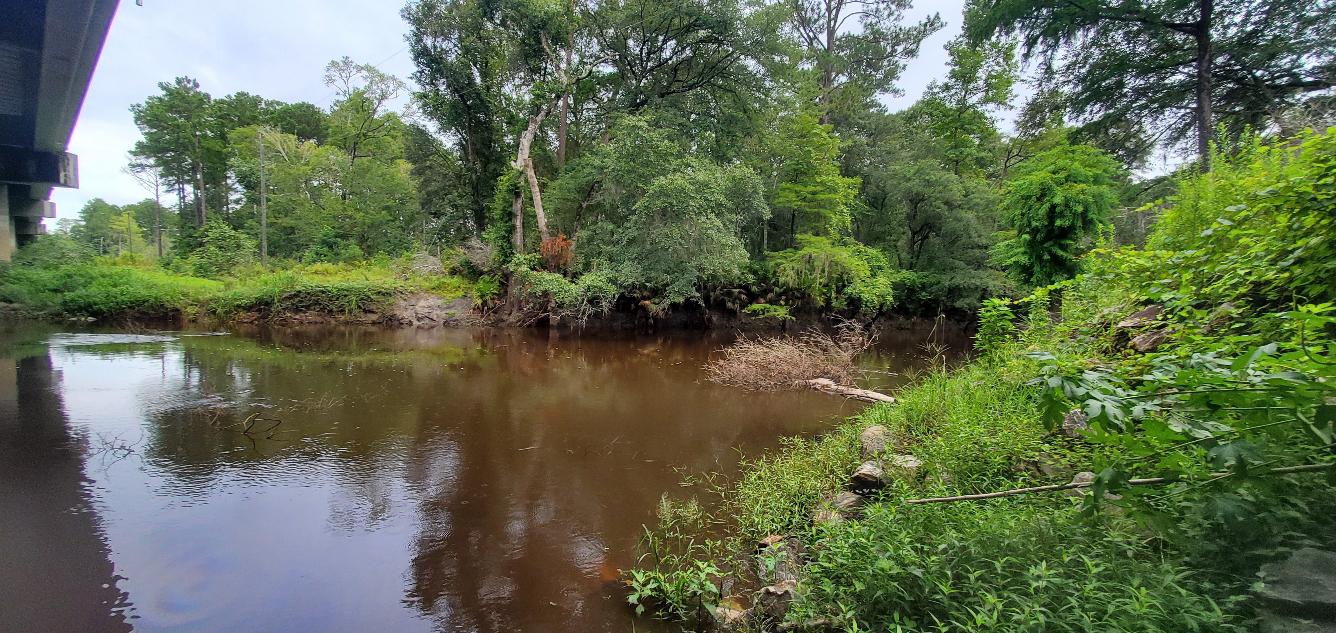 Upstream under Skipper Bridge, 2022:08:11 09:23:12, 30.9489321, -83.2714702