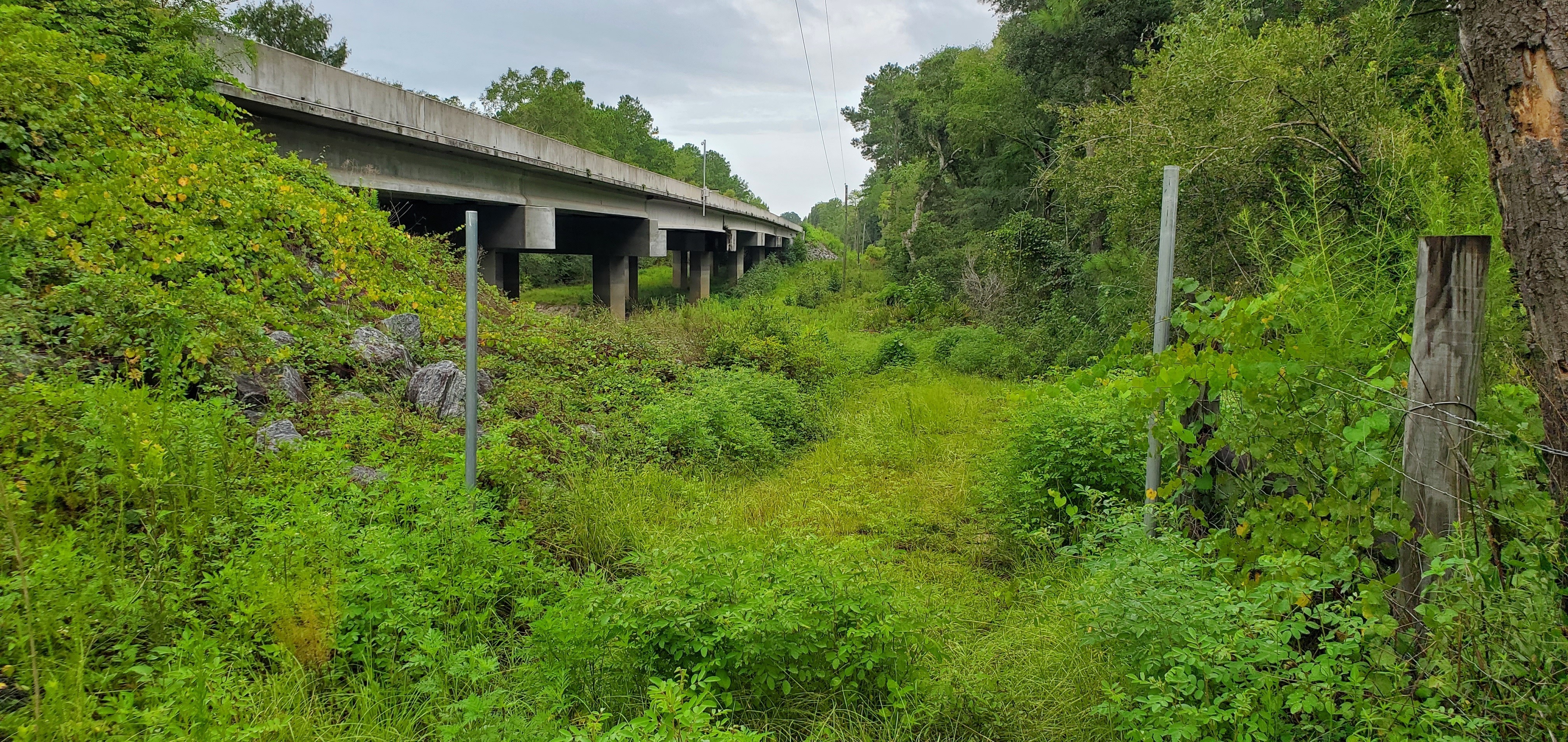 Chainlink fence gap, north side of Skipper Bridge, 2022:08:11 09:25:56, 30.9490669, -83.2714828