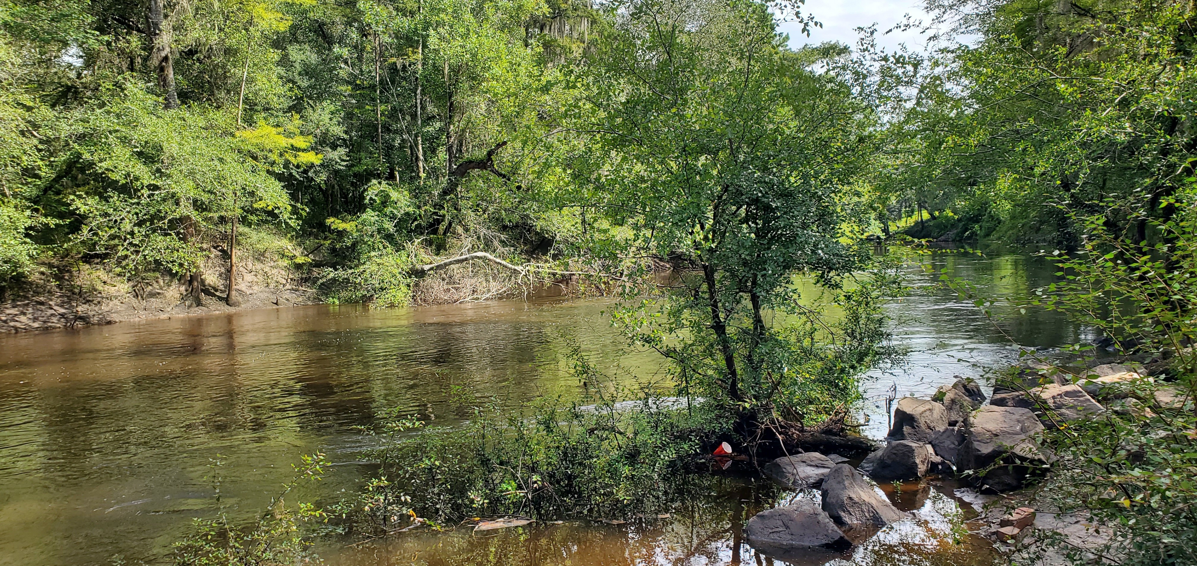 Sample site, Troupville Boat Ramp, Little River, 2022:08:11 10:50:09, 30.8513132, -83.3473411