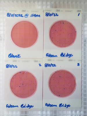 [Plates, Folsom Bridge Landing 2022-08-11]