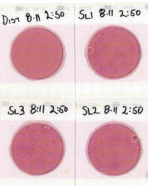 [Plates, State Line Boat Ramp 2022-08-11]